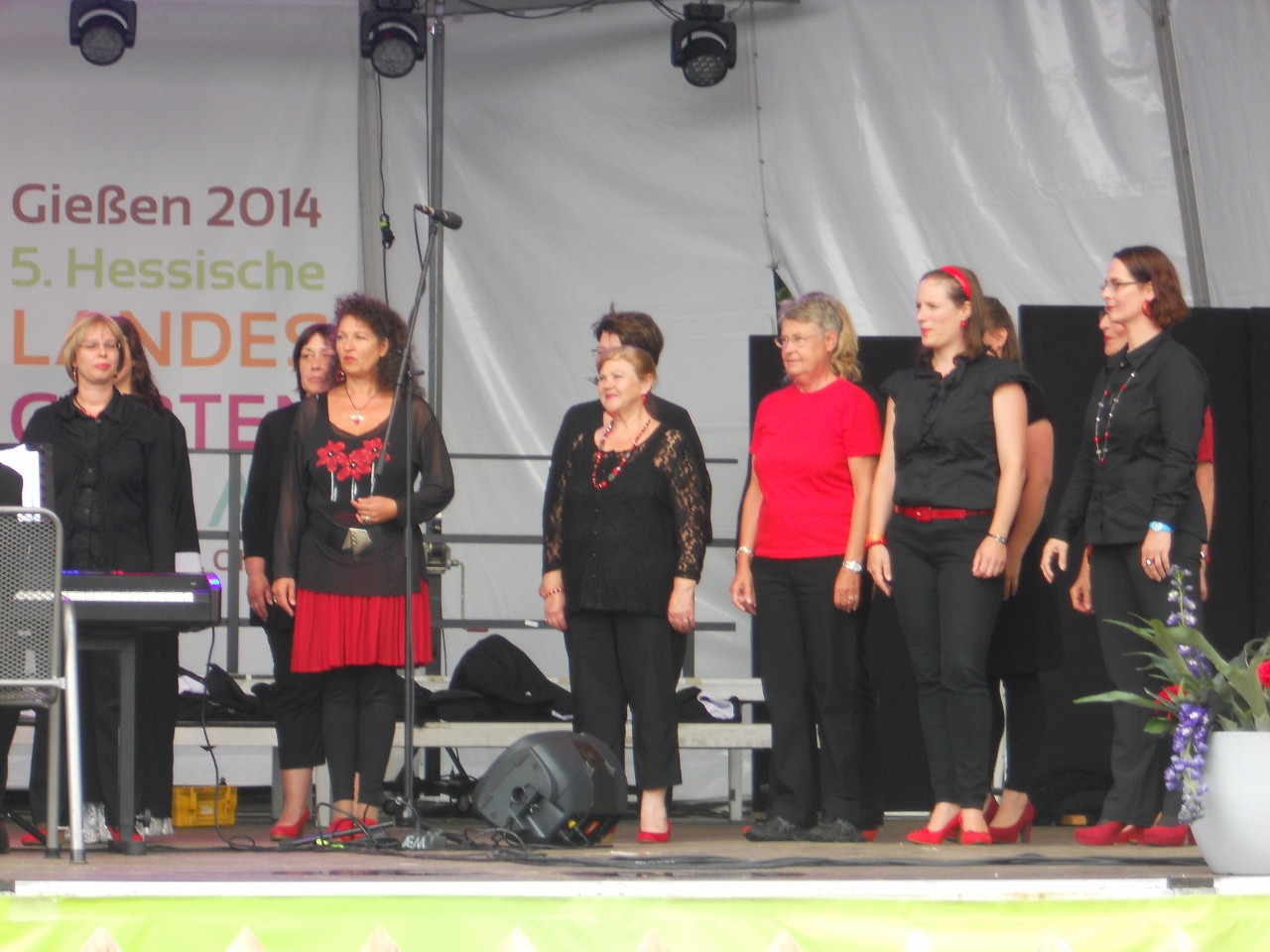 29.06.2014: Singen auf der Landesgartenschau